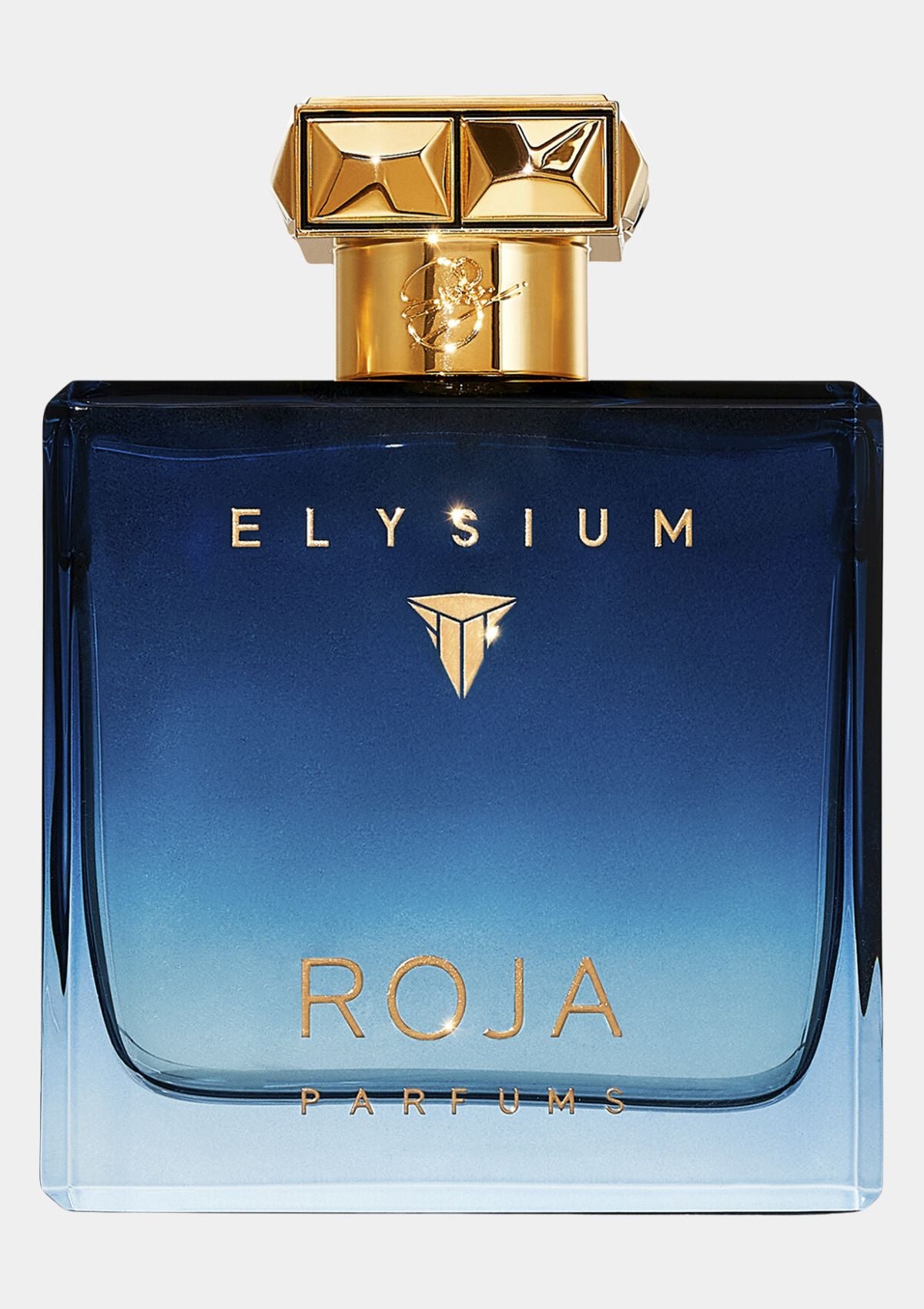 Roja Parfums Elysium Pour Homme Parfum Cologne for Men EDP 100mL