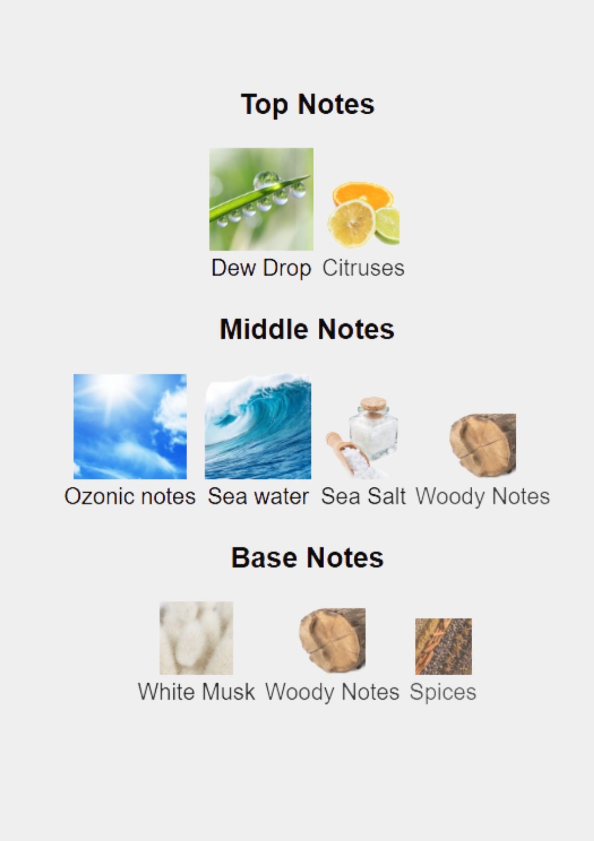 Rosendo Mateu 1988 for Unisex EDP 100mL