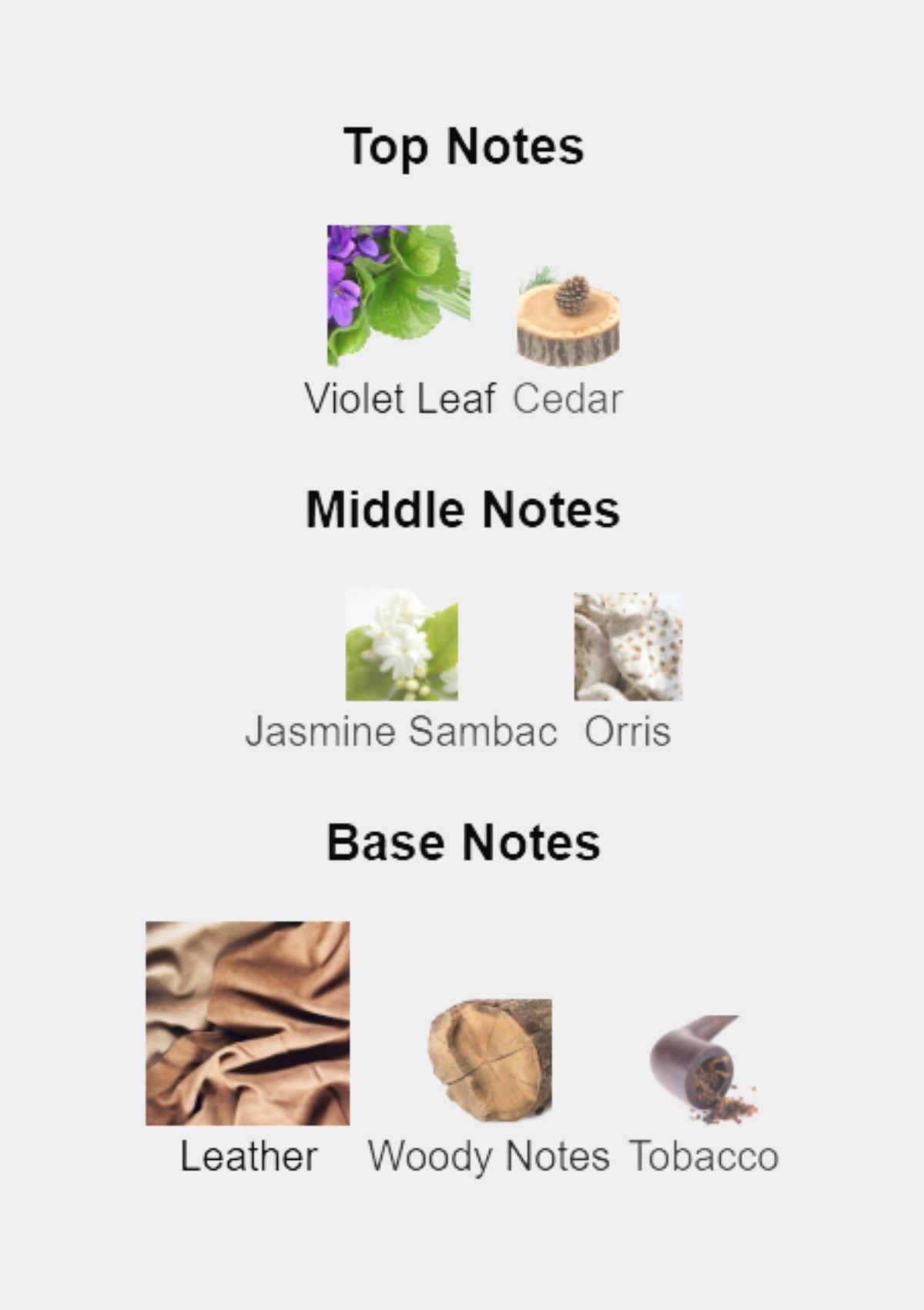 Tom Ford Ombre Leather Parfum for Men 100mL