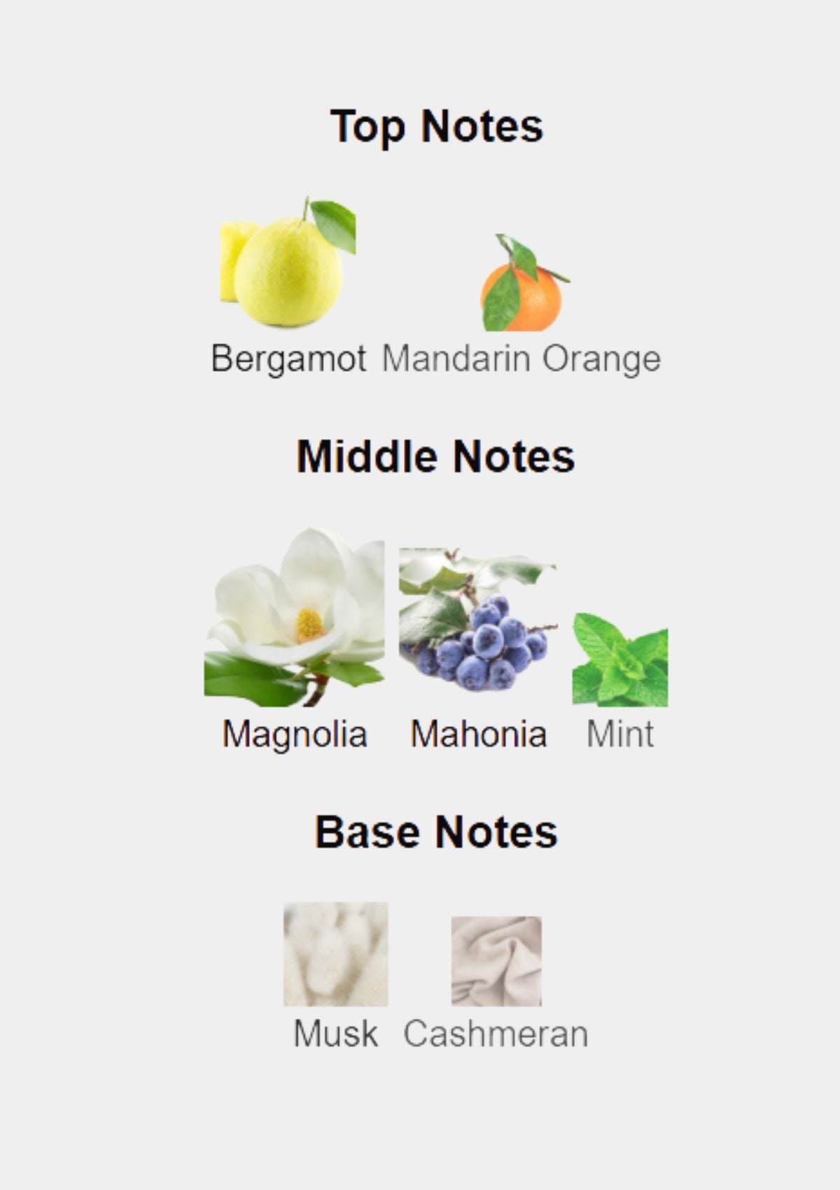 Tommy Hilfiger Tommy Girl Now for Women EDT 100mL