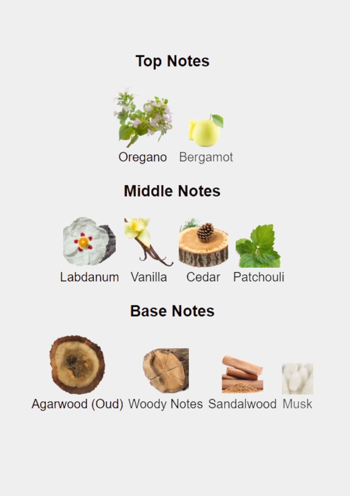 Vertus Paris Ombre for Unisex EDP 100mL