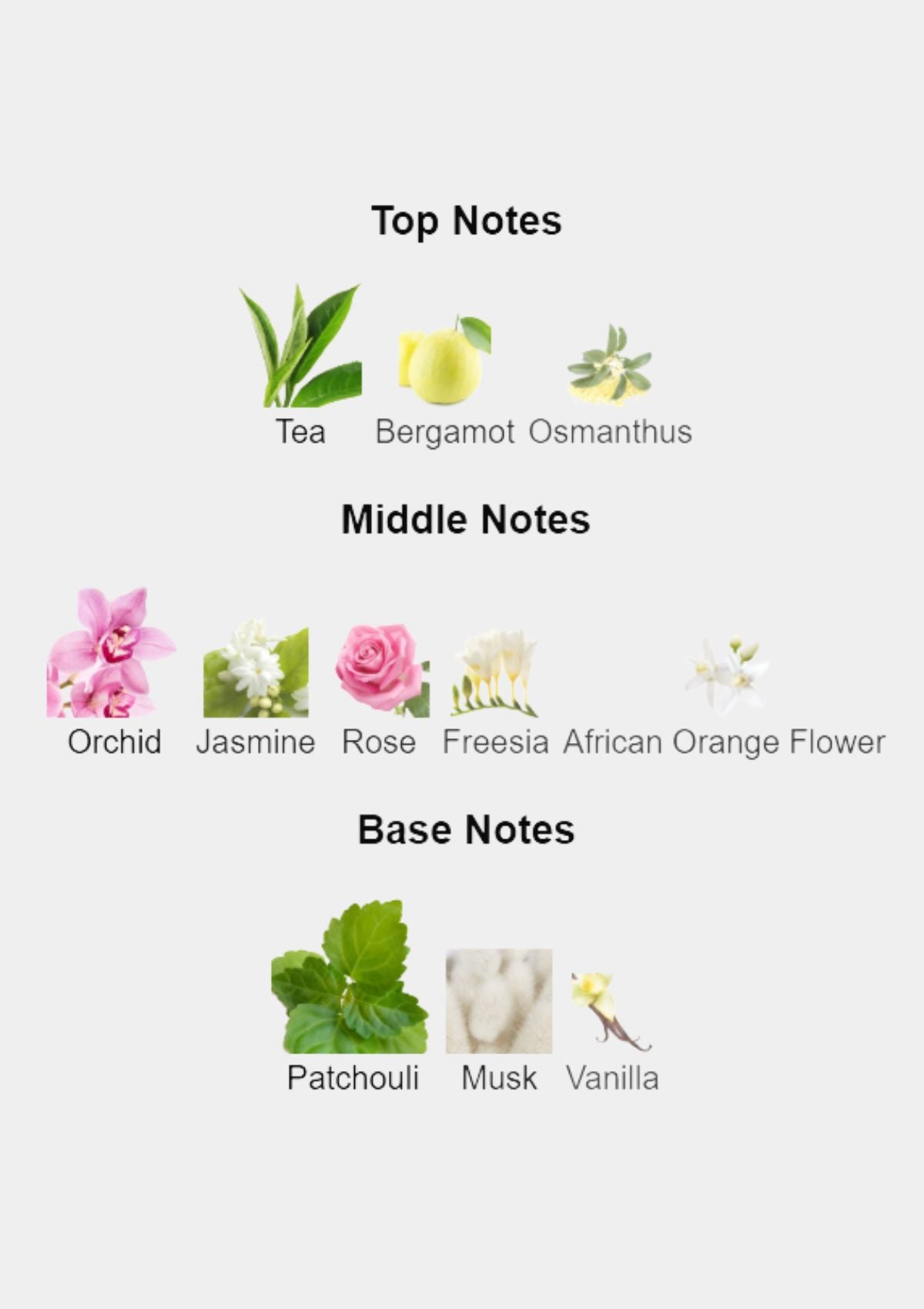 Viktor & Rolf Flowerbomb for Women EDP 100mL