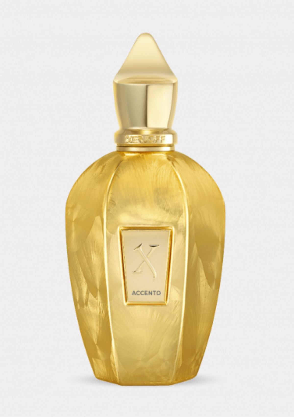 Xerjoff Accento Overdose for Unisex EDP 100mL