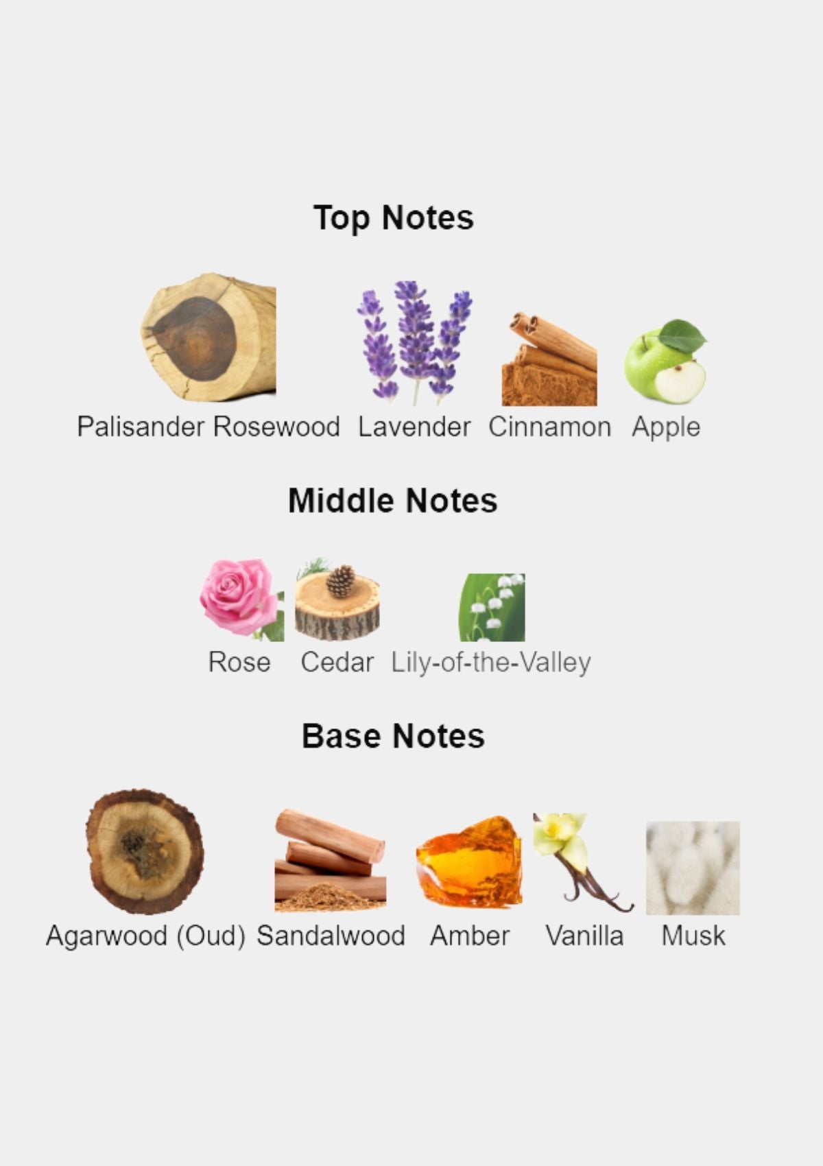 Xerjoff Alexandria II for Unisex EDP 100mL