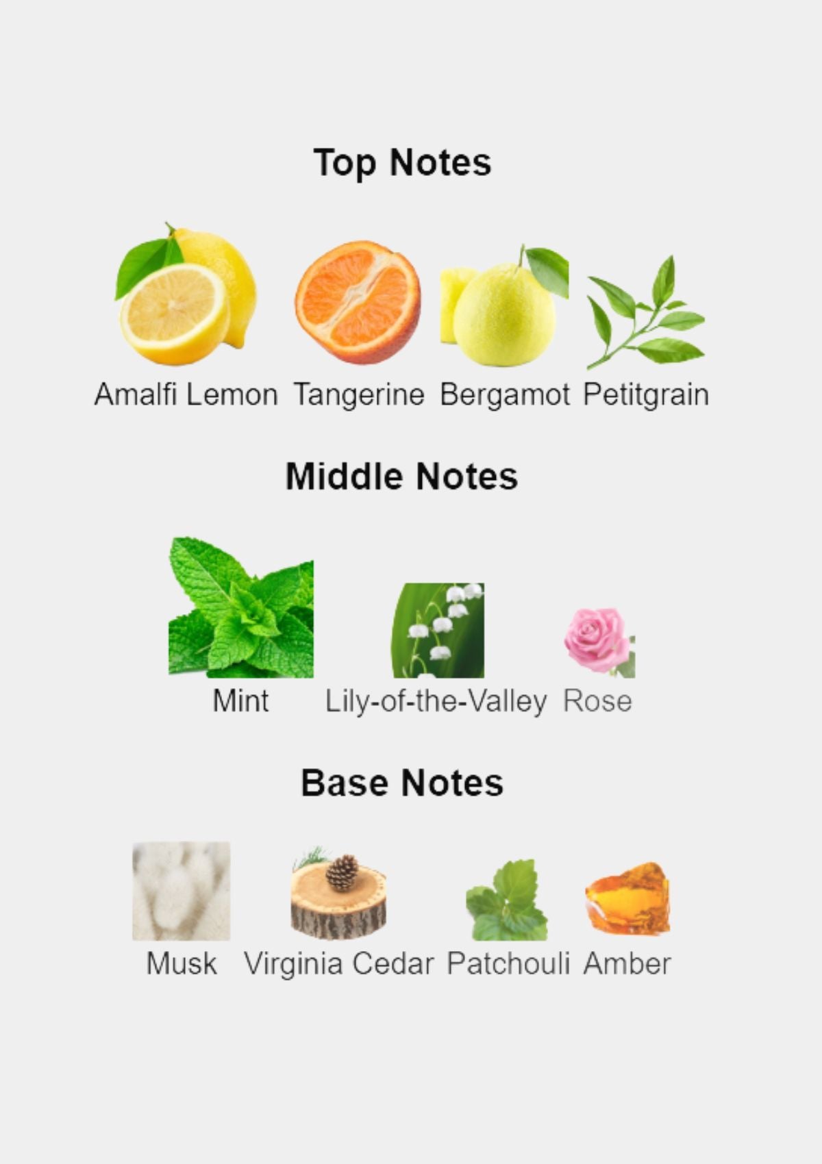 Xerjoff Renaissance for Unisex EDP 100mL