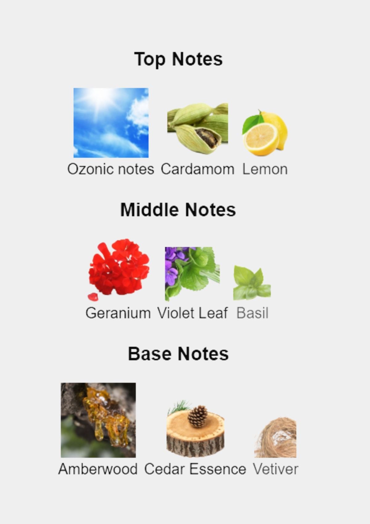 Yves Saint Laurent L'Homme Le Parfum for Men 100mL