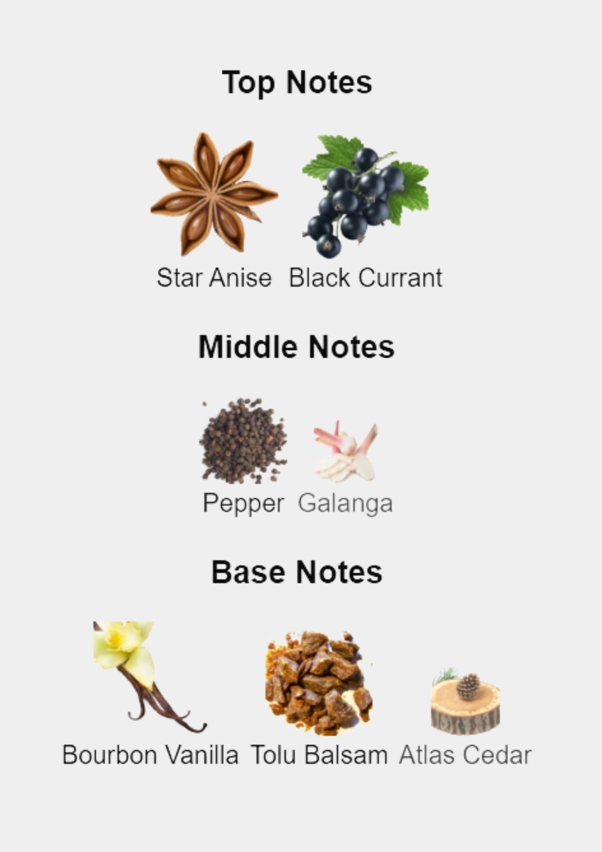 Yves Saint Laurent Opium Pour Homme for Men EDT 100mL