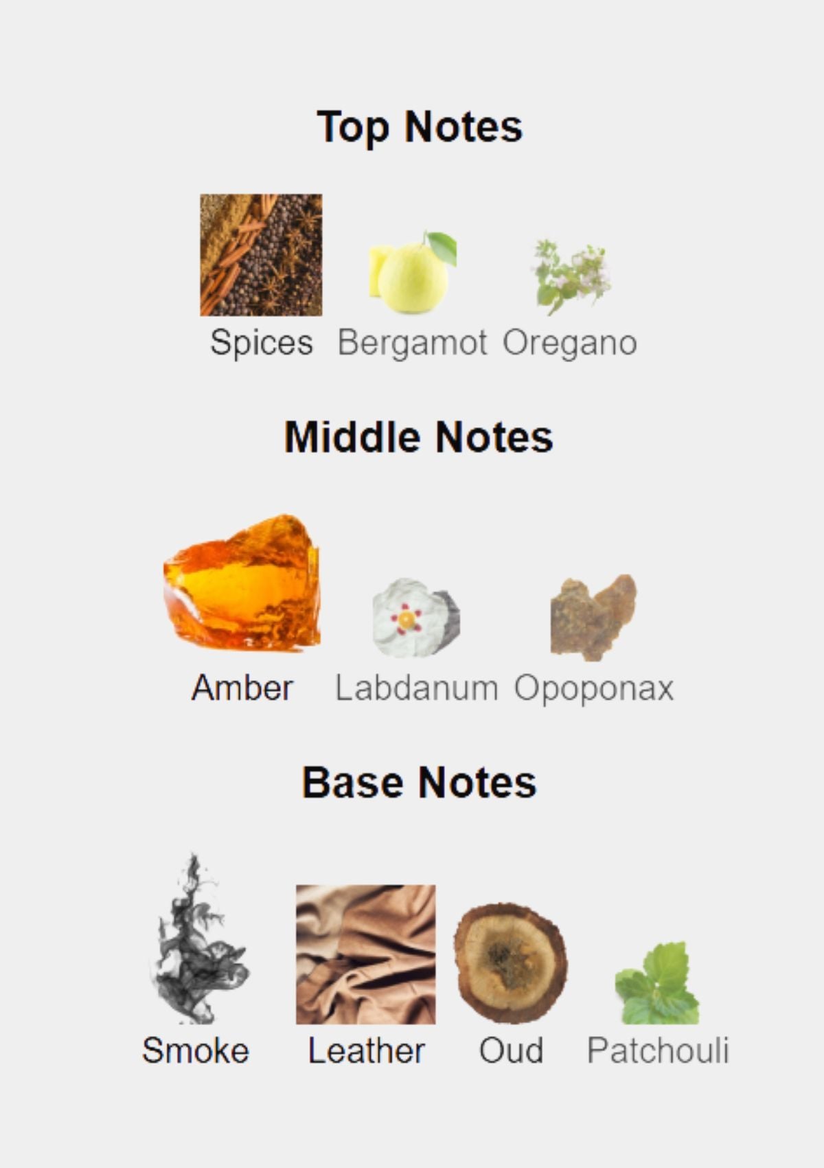 Zimaya Evolution for Unisex EDP 100mL