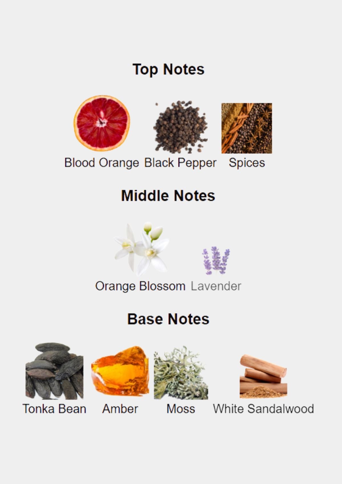 Zimaya Red Carpet Paragon for Unisex EDP 100mL