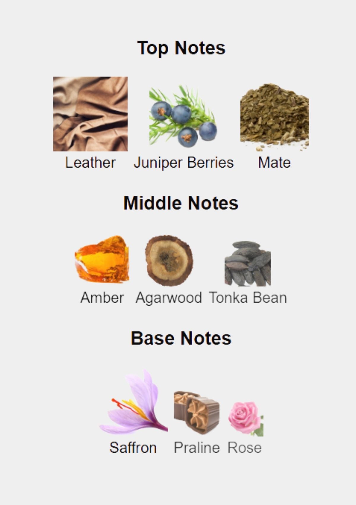 Zimaya Royal Leather for Unisex EDP 100mL