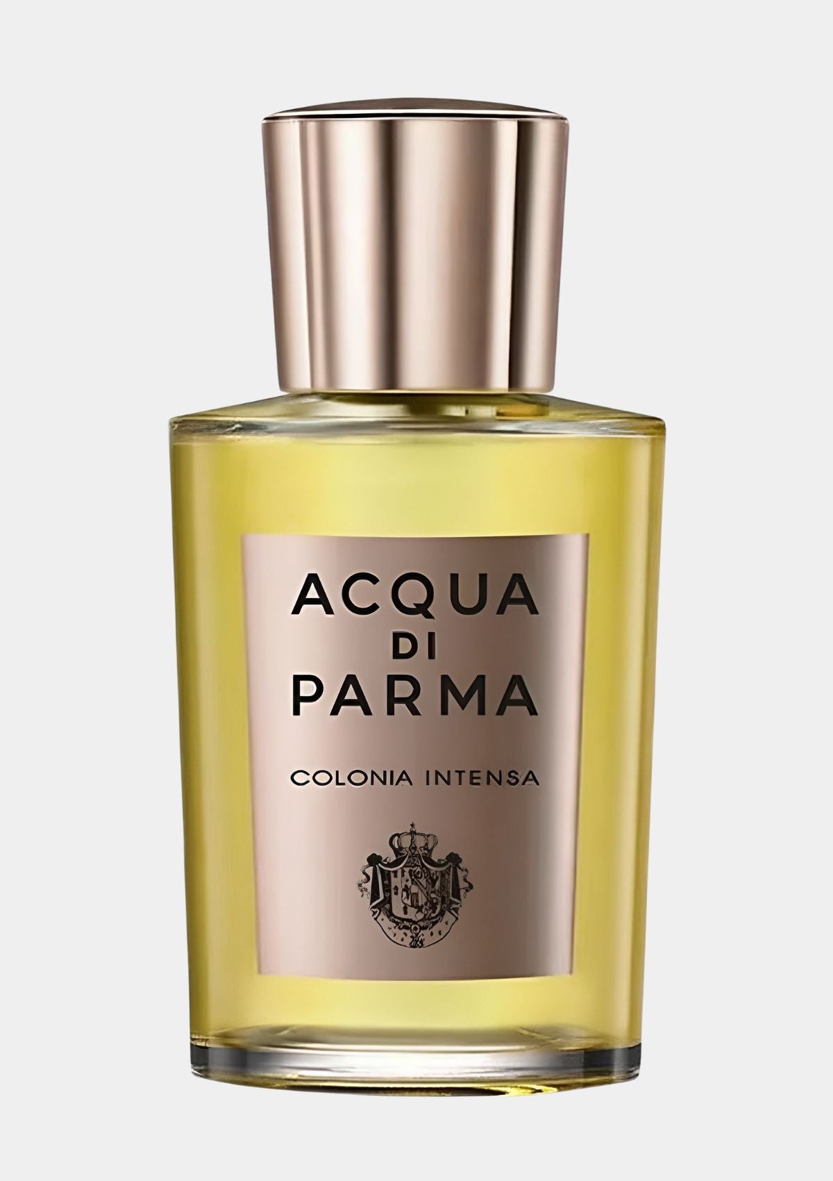 Acqua Di Parma Colonia Intensa for Men EDC 100mL