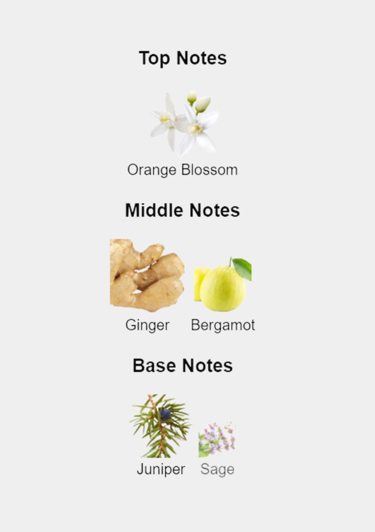 Yves Saint Laurent Y Live Intense for Men EDT 100mL