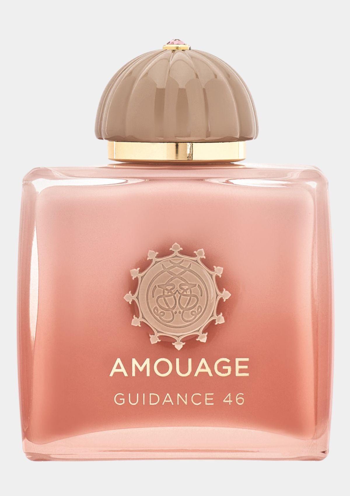 Amouage Guidance 46 Extrait de Parfum for Unisex 100mL
