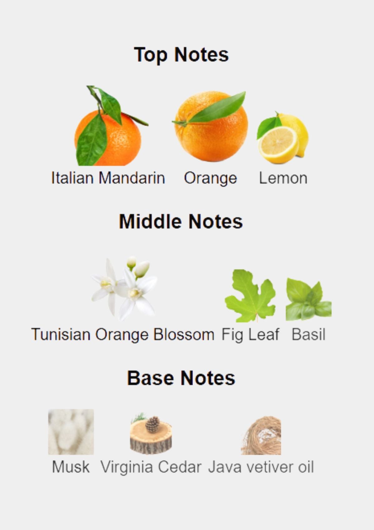 Atelier Des Ors Riviera Sunrise for Unisex EDP 100mL