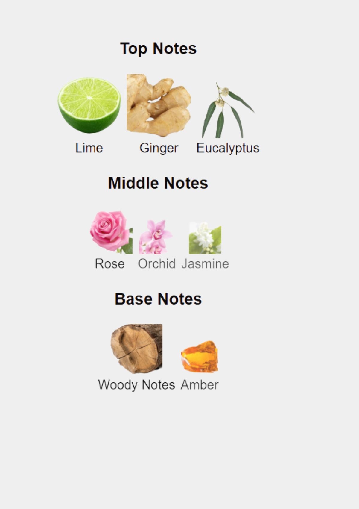 Atkinsons 44 Gerard Street for Unisex EDC 100mL