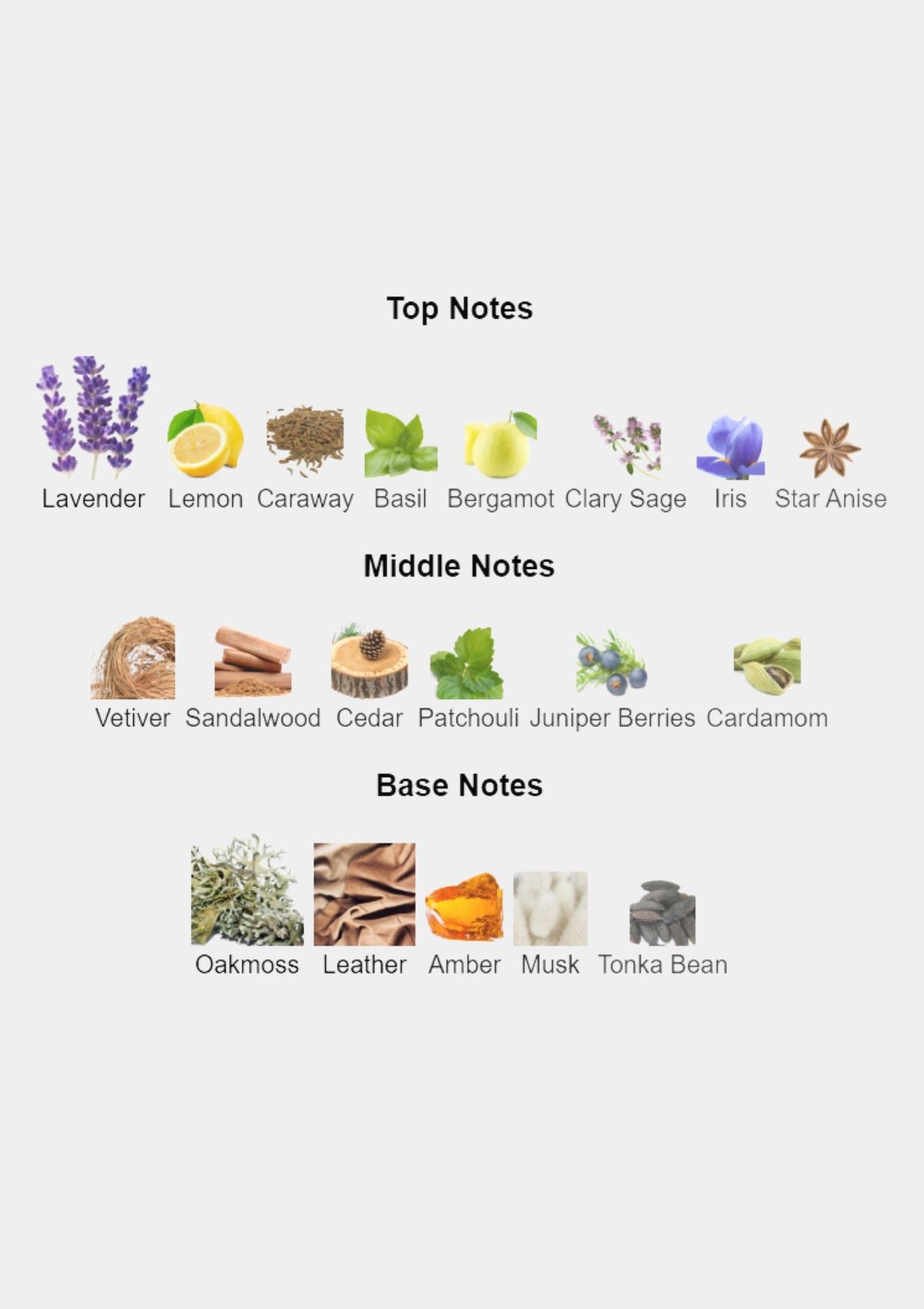 Azzaro Pour Homme for Men EDT 200mL