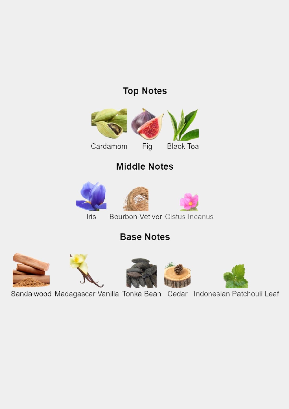 BDK Parfums Gris Charnel Extrait de Parfum for Unisex 100mL