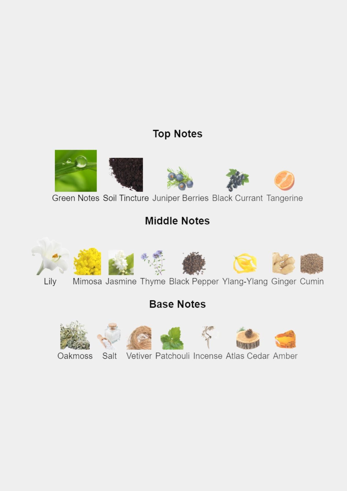 Beaufort London Fathom V for Unisex EDP 50mL