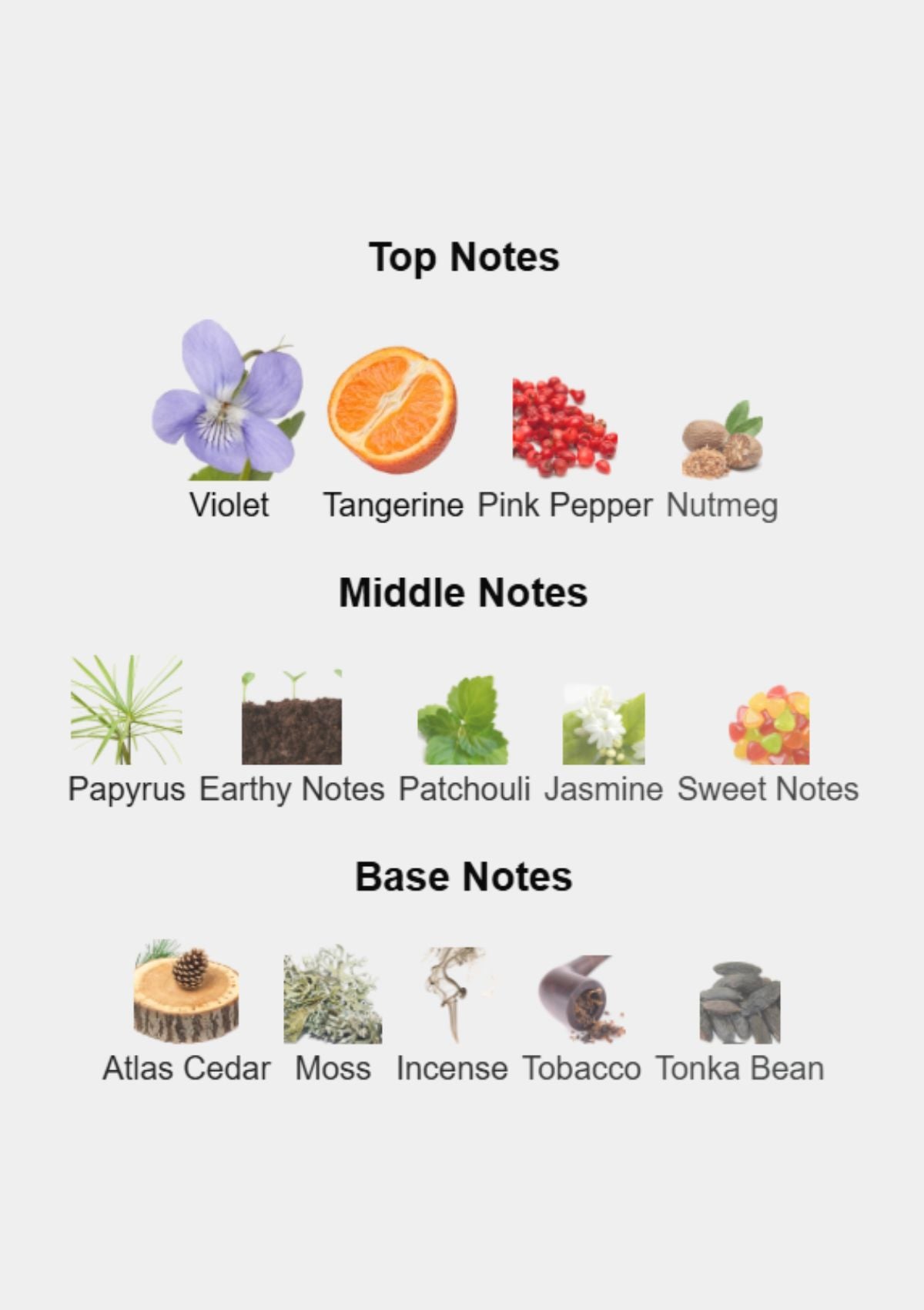 Bentley Black Edition for Men EDP 100mL