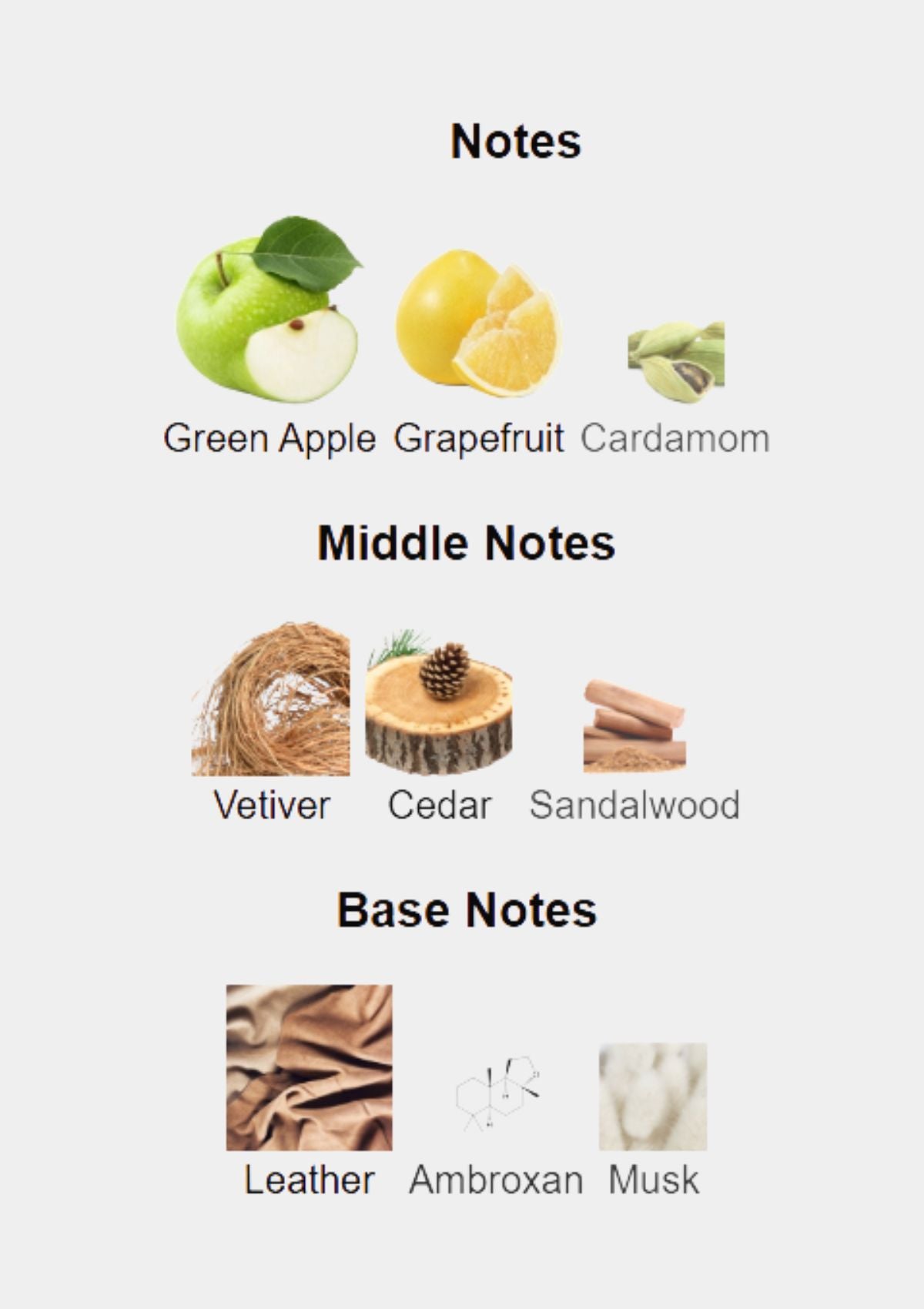 Bentley Momentum Unlimited for Men EDT 100mL