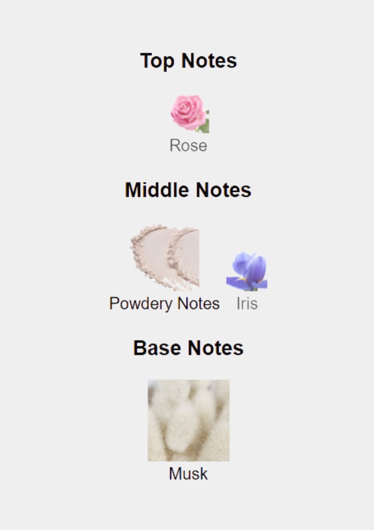 Narciso Rodriguez Hair Mist for Her 30mL