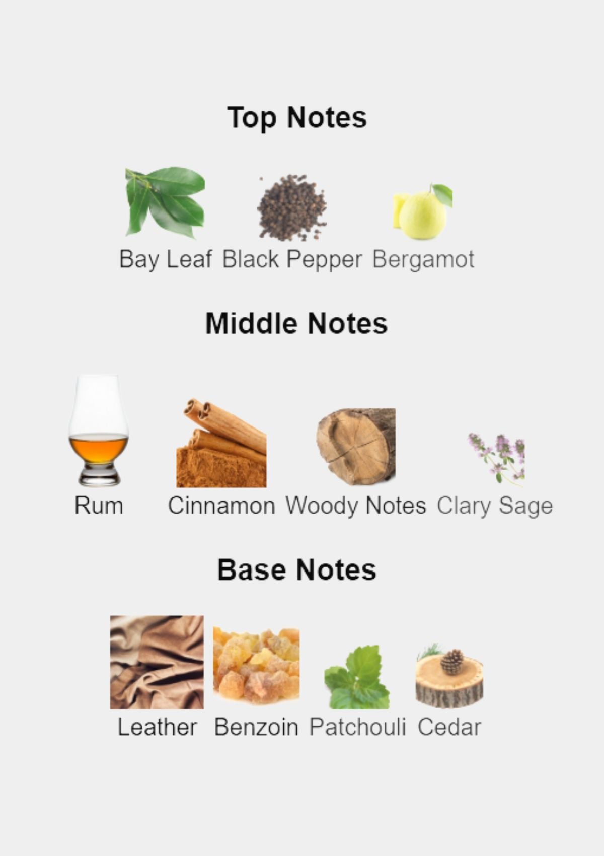 Bentley for Men EDT 100mL