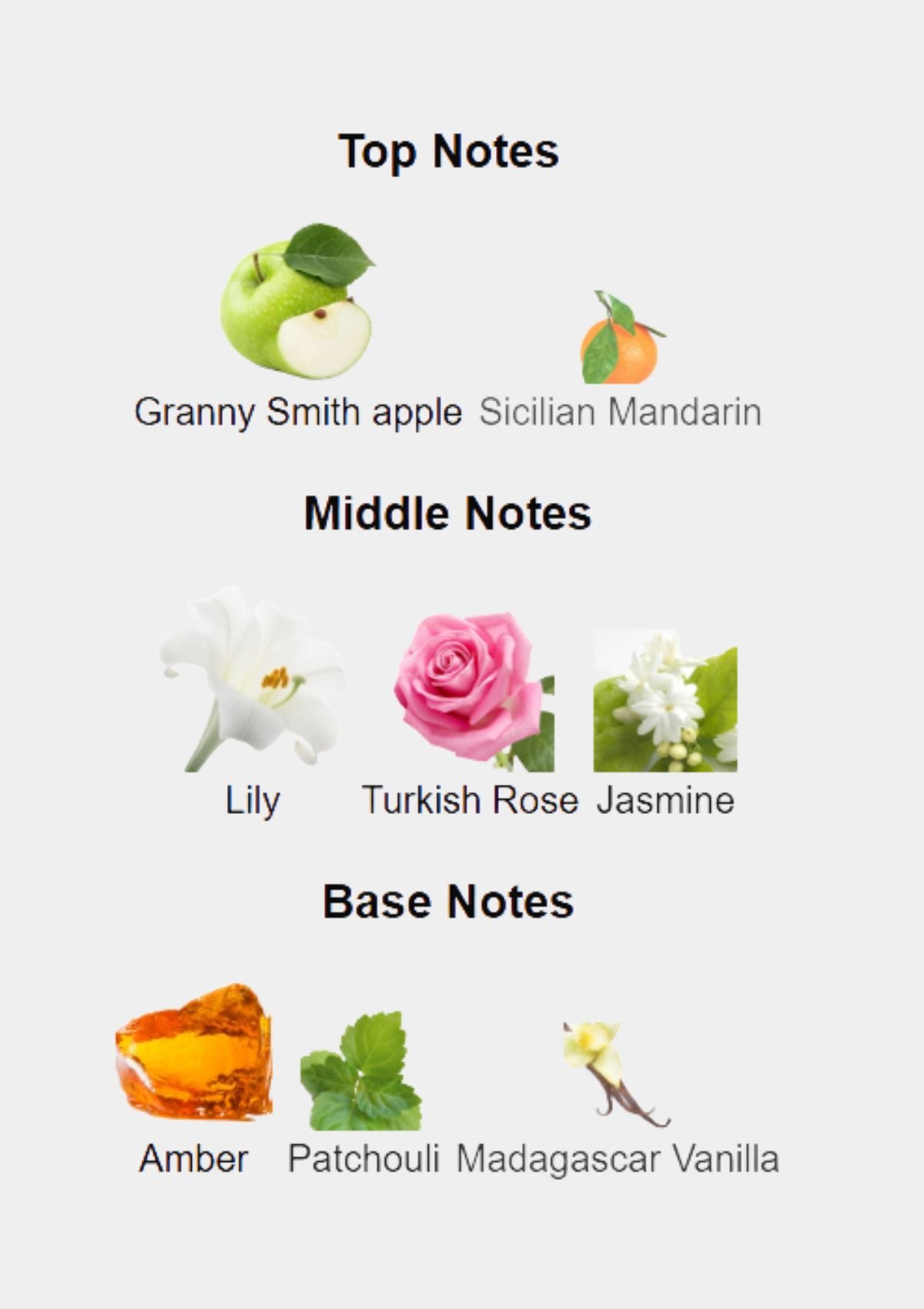 Bohoboco Eternal Lily Amber Parfum for Unisex 50mL