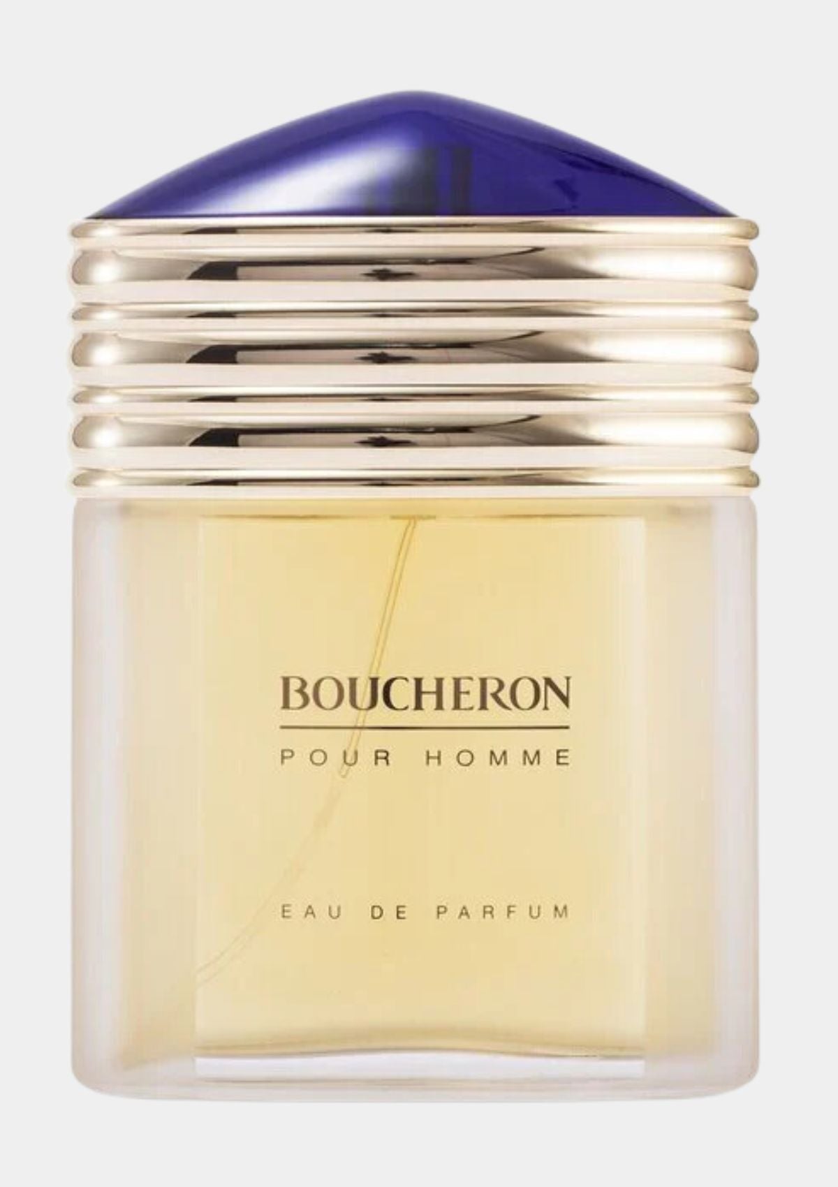 Boucheron Pour Homme for Men EDP 100mL