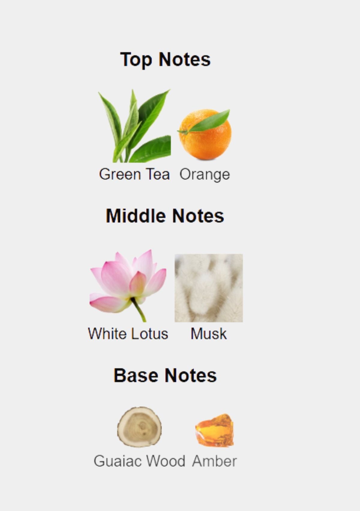 عطر بولغاري راين إسنس للرجال، 100 مل