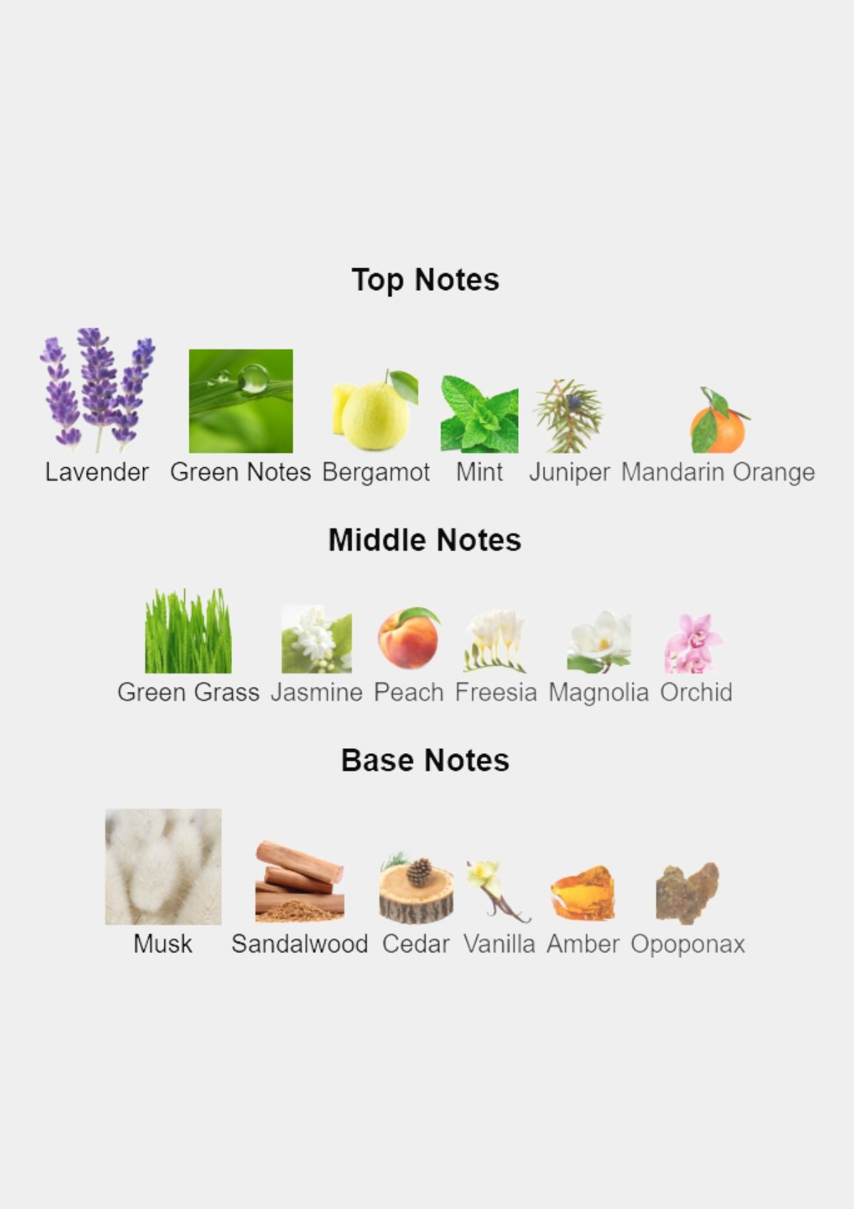 Calvin Klein CK Be for Unisex EDT 100mL