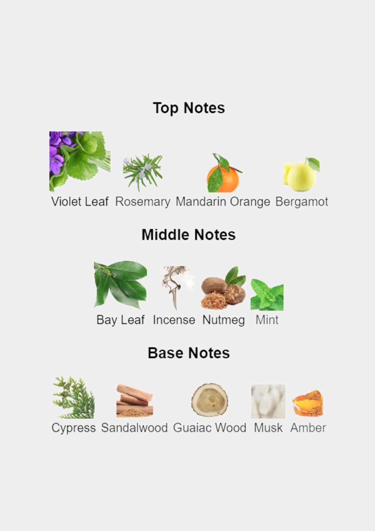 Calvin Klein Man for Men EDT 100mL