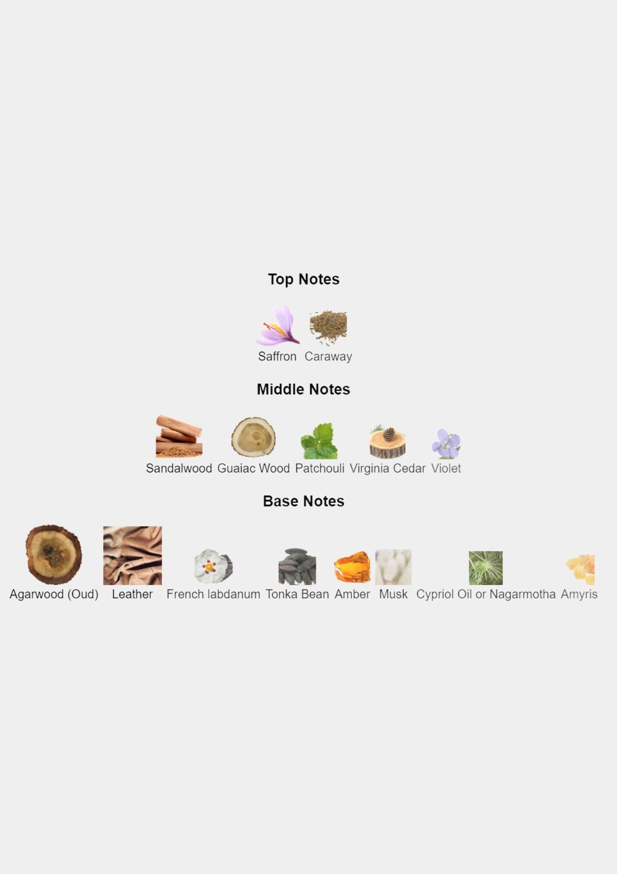 Carner Cuirs for Unisex EDP 100mL