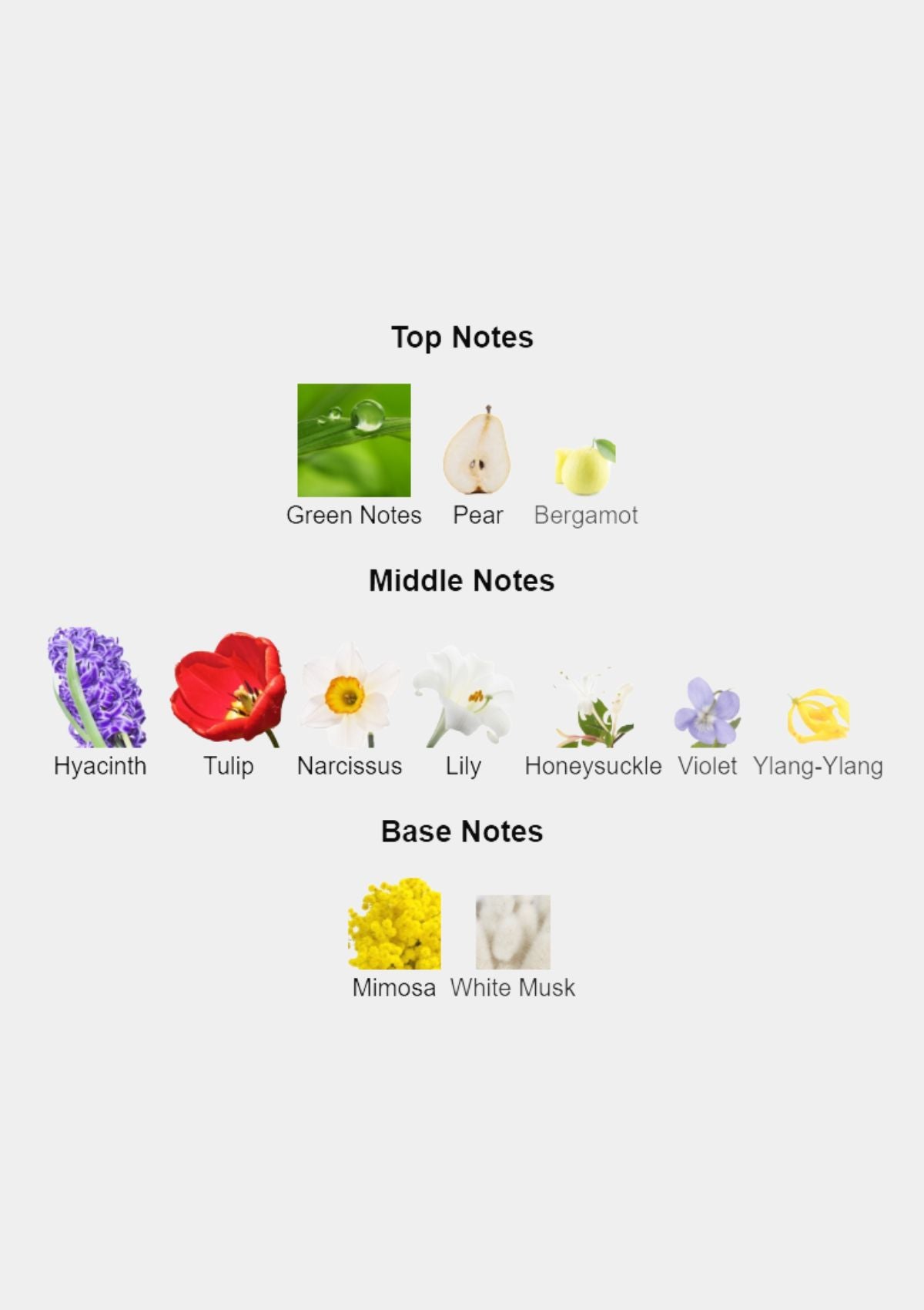 Cartier Carat for Women EDP 100mL