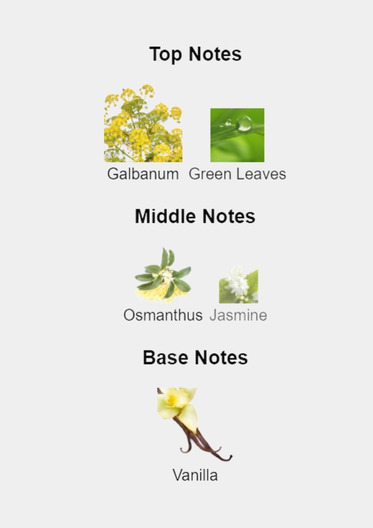 Cartier Must for Women EDT 100mL