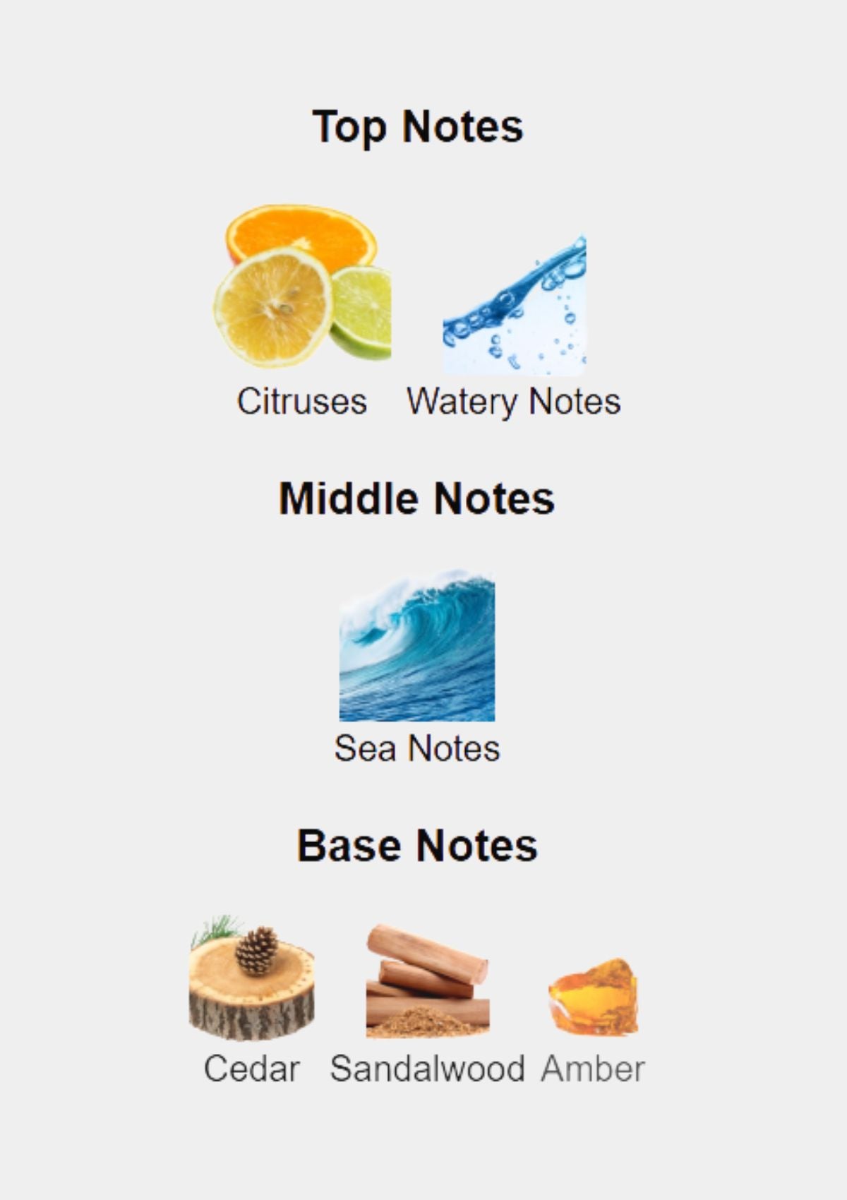 Cartier Pasha Edition Noire Sport for Men EDT 150mL