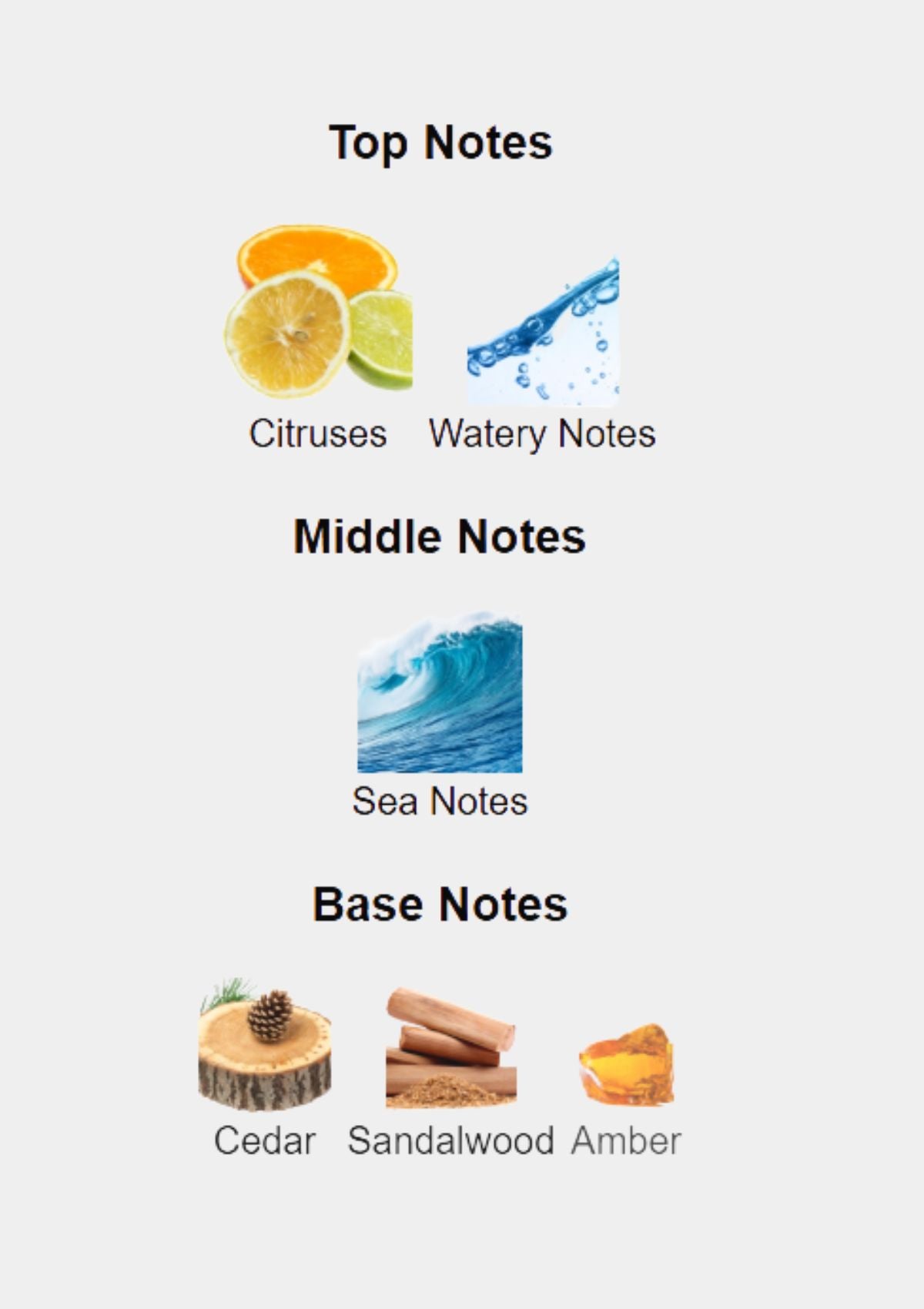 Cartier Pasha Sport Edition Noire for Men EDT 100mL