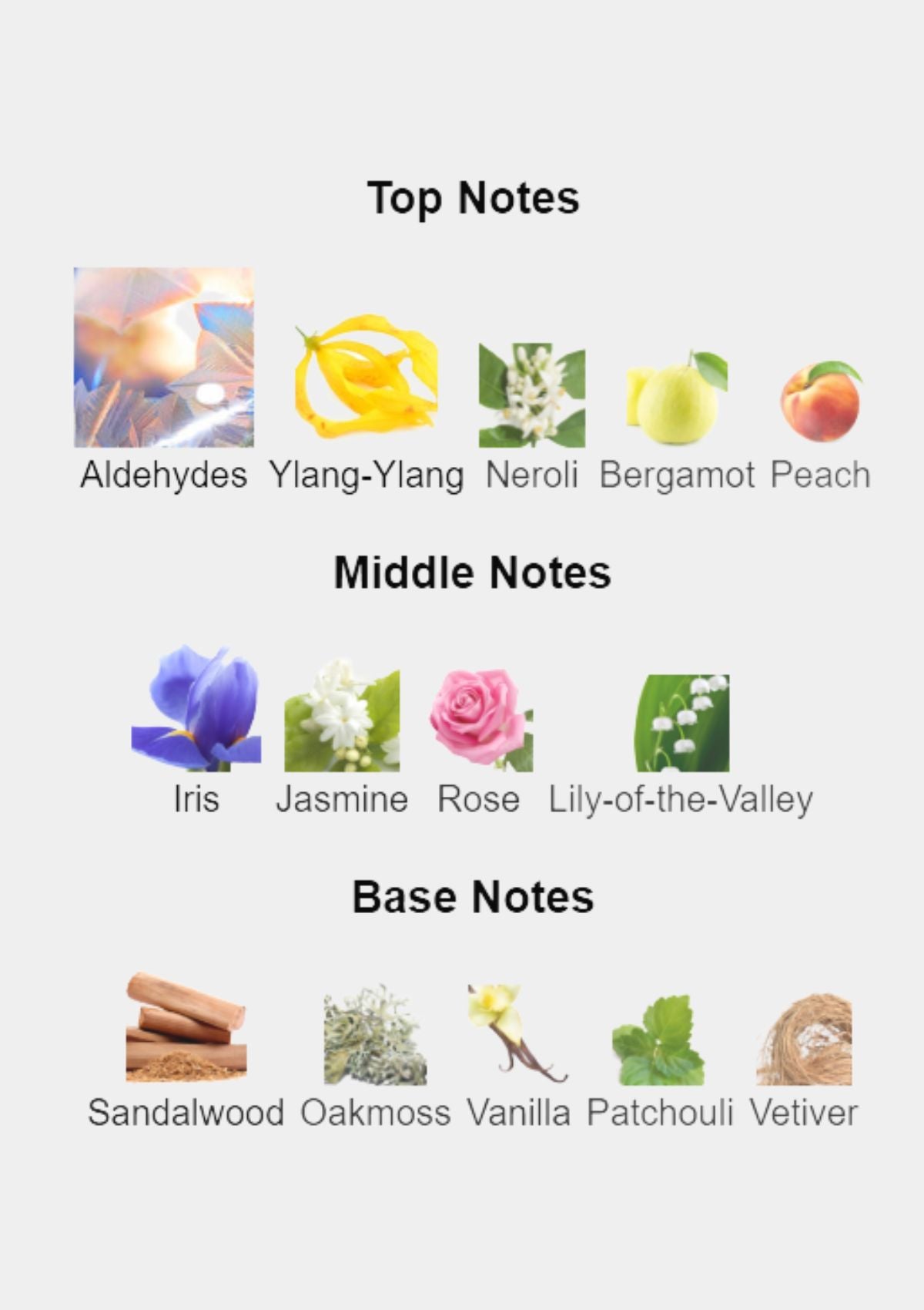 Chanel No. 5 for Women EDP 100mL