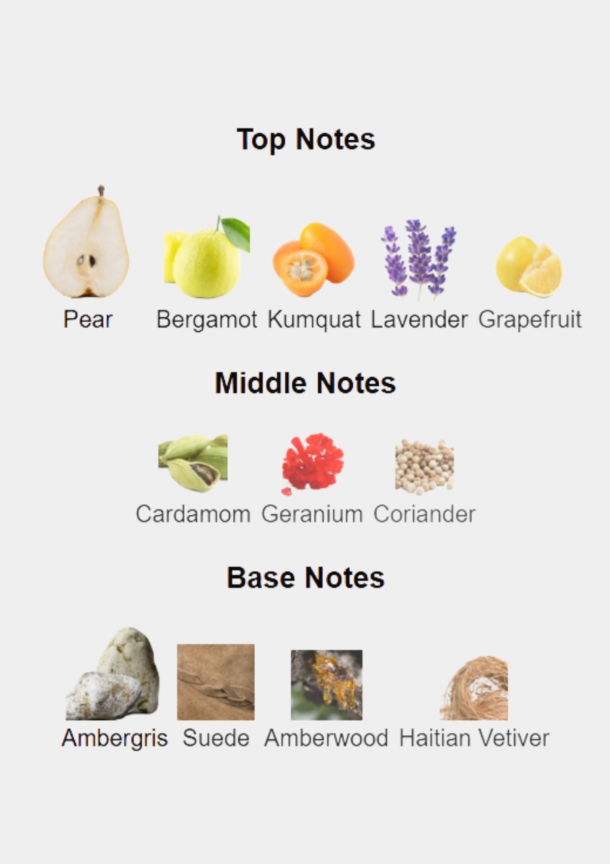 Coach New York for Men EDT 100mL