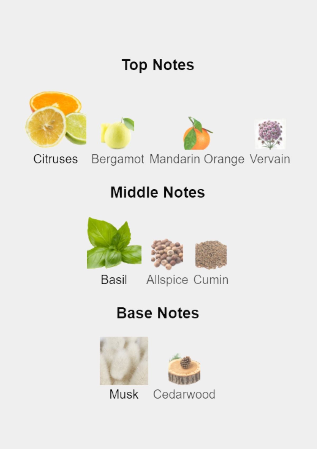 Creed Royal Water for Unisex EDP 100mL