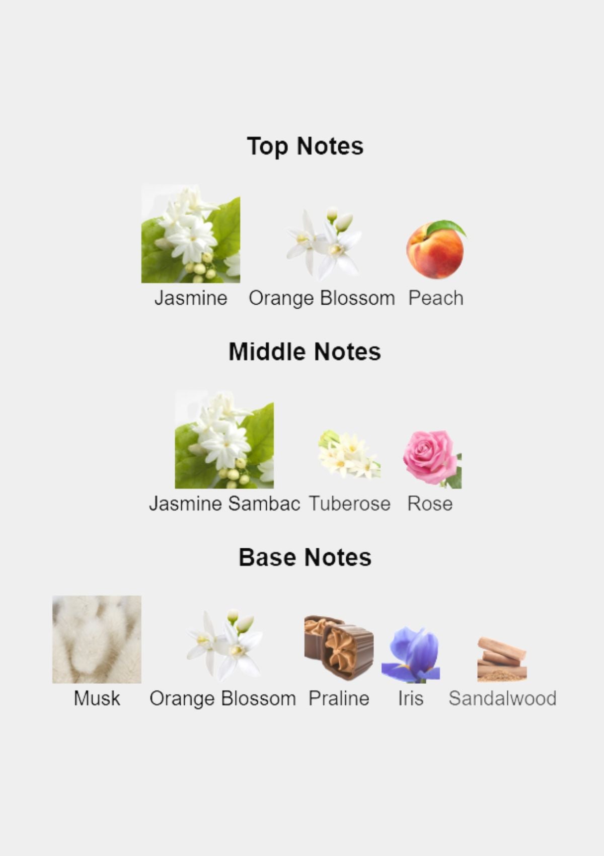 Creed Wind Flowers for Women EDP 75mL