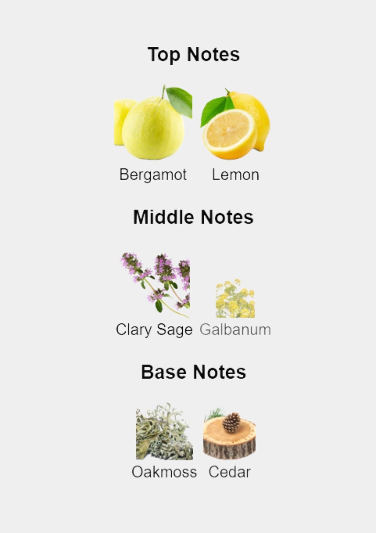 Davidoff Champion for Men EDT 90mL