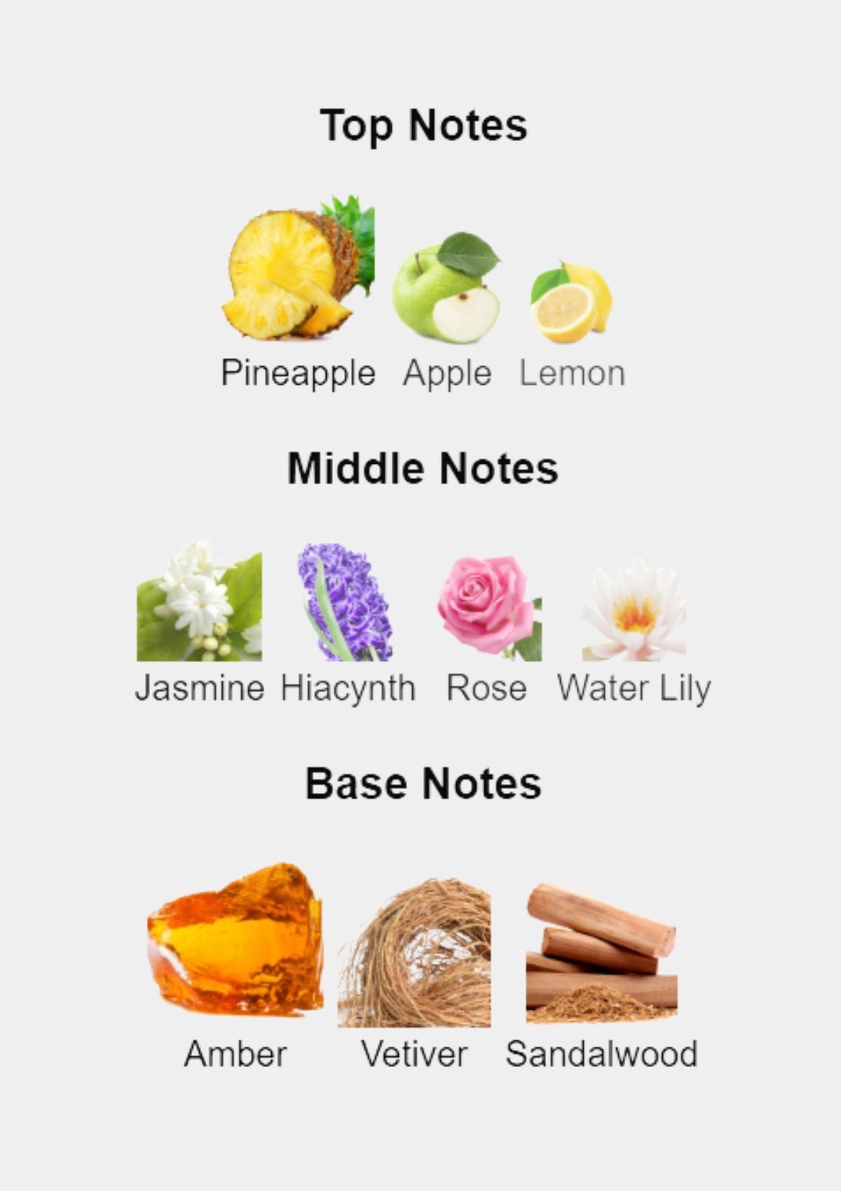 Guess Gold for Men EDT 75mL