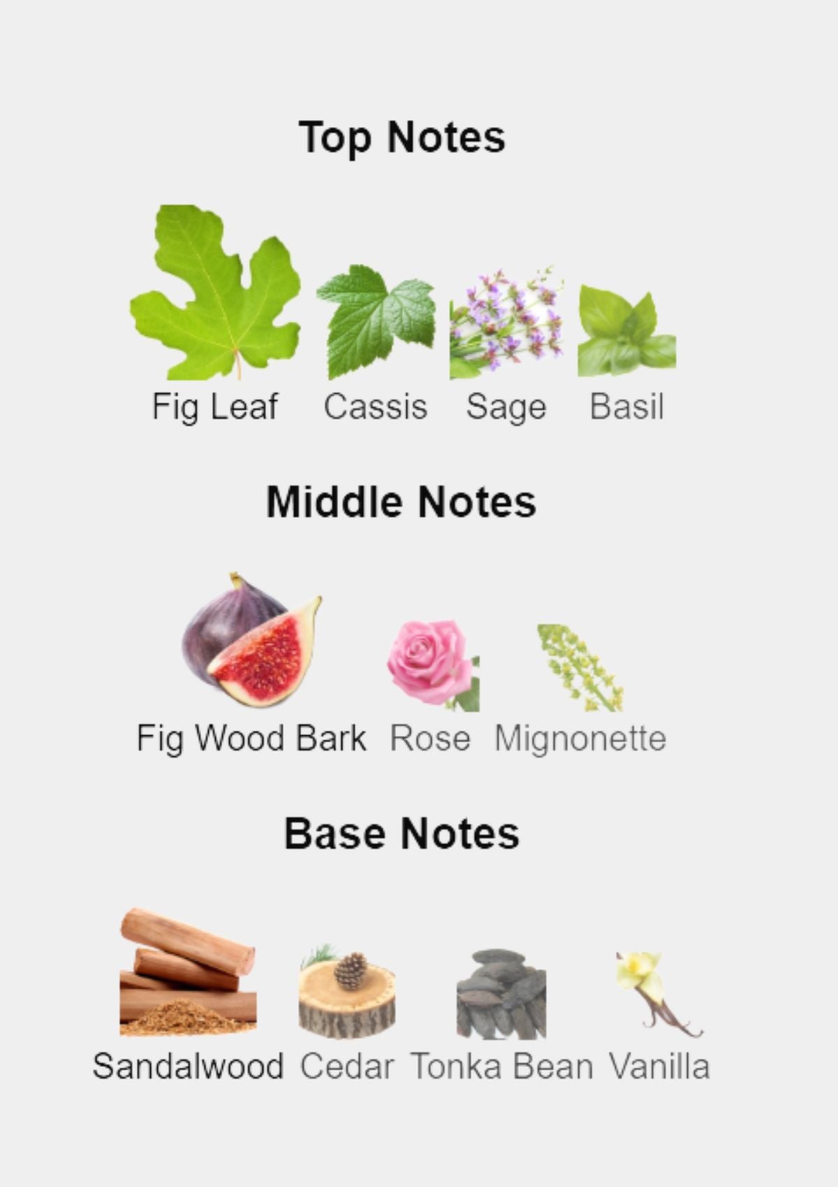 Dior Dune Pour Homme for Men EDT 100mL