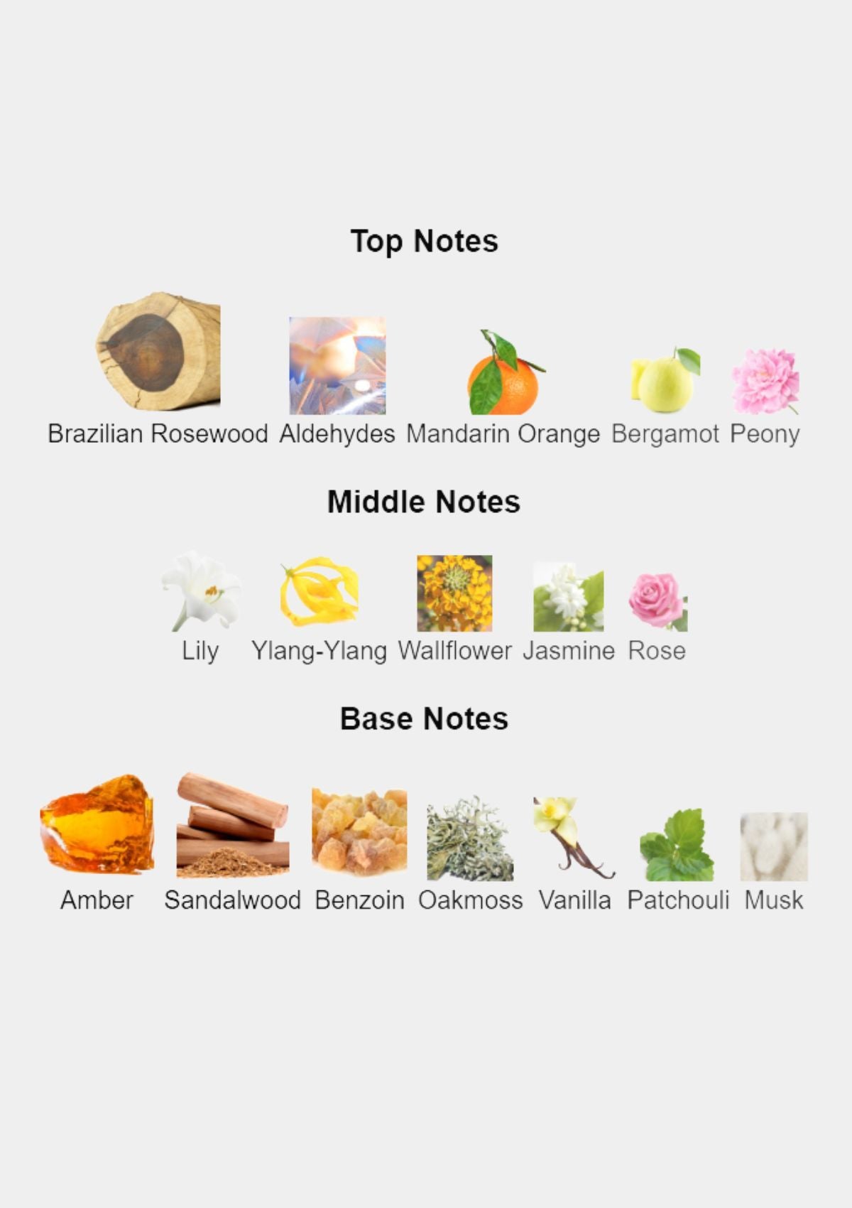 Dior Dune for Women EDT 100mL