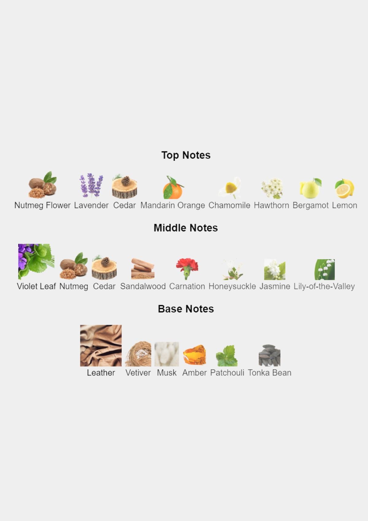 Dior Fahrenheit for Men EDT 100mL