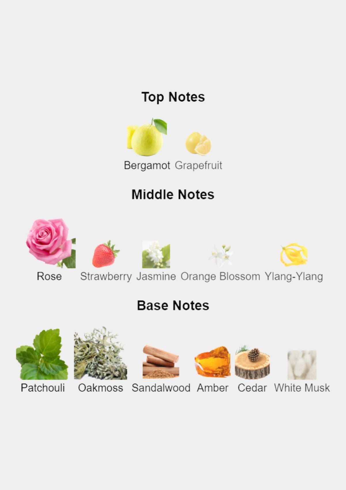 Dior Gris Montaigne for Women EDP 250mL