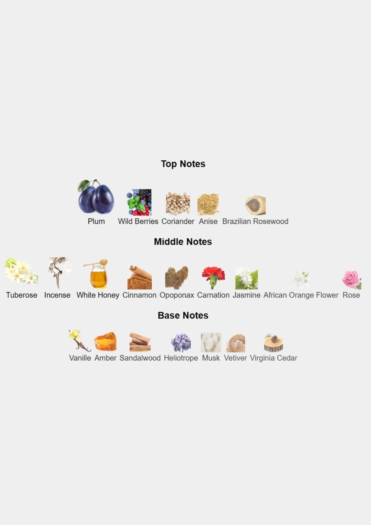 Dior Poison for Women EDT 100mL