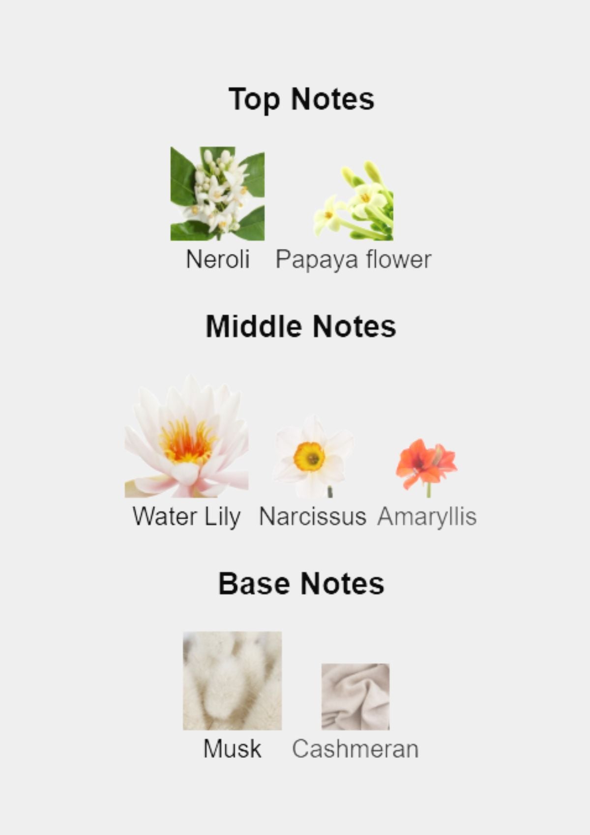 Dolce & Gabbana Dolce for Women EDP 75mL