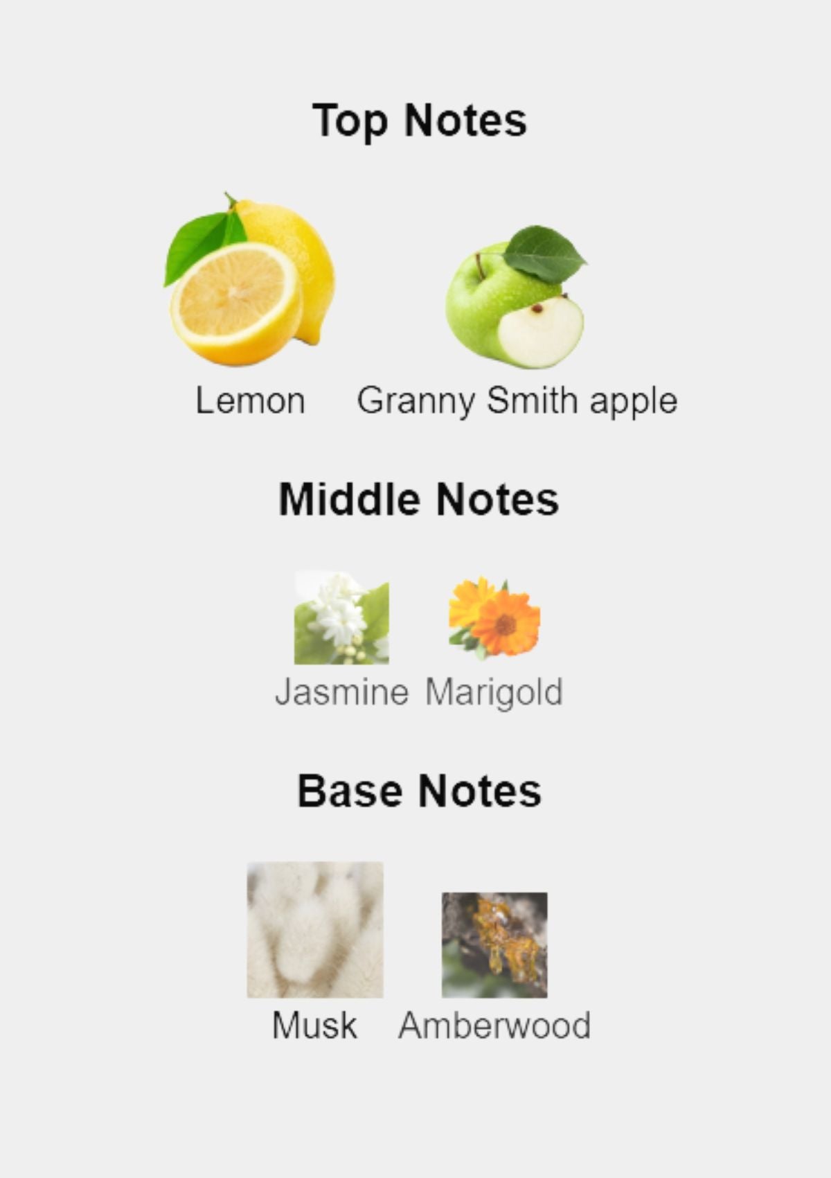 Dolce & Gabbana Light Blue Intense for Women EDP 50mL