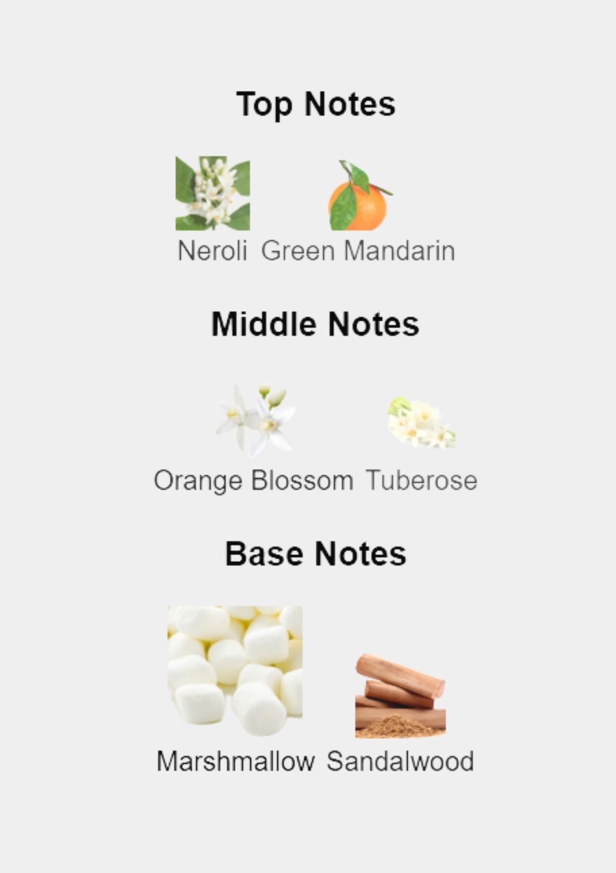 Dolce & Gabbana Pour Femme Intense for Women EDP 50mL